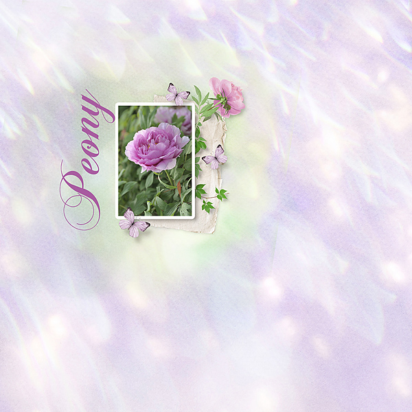 Peony