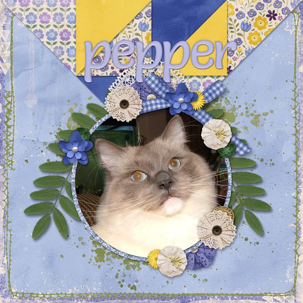 Pepper