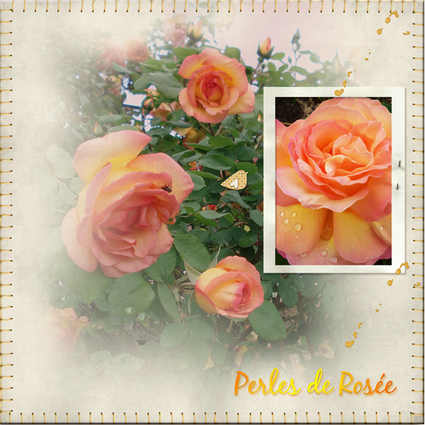 Perles de Rose