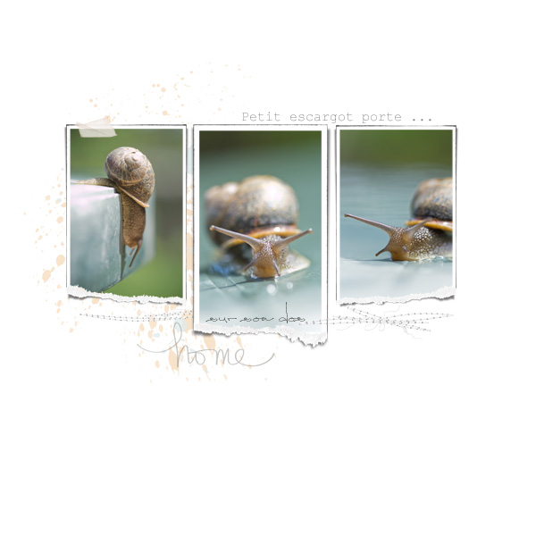 Petit escargot ...