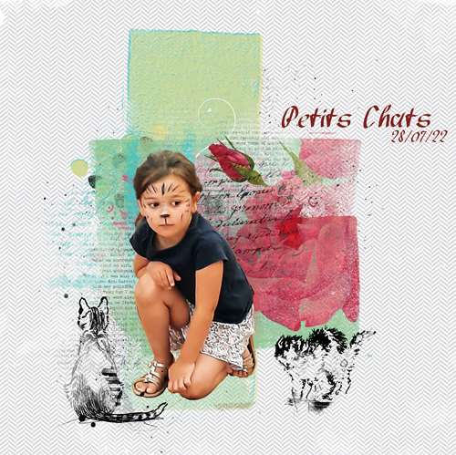 petits chats