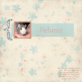 petunia