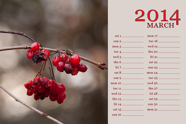 photocase calendar