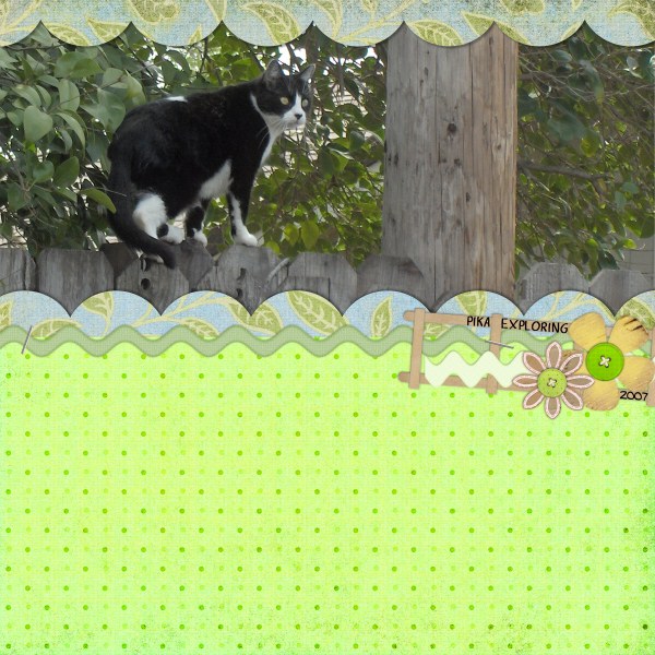 Pika Exploring