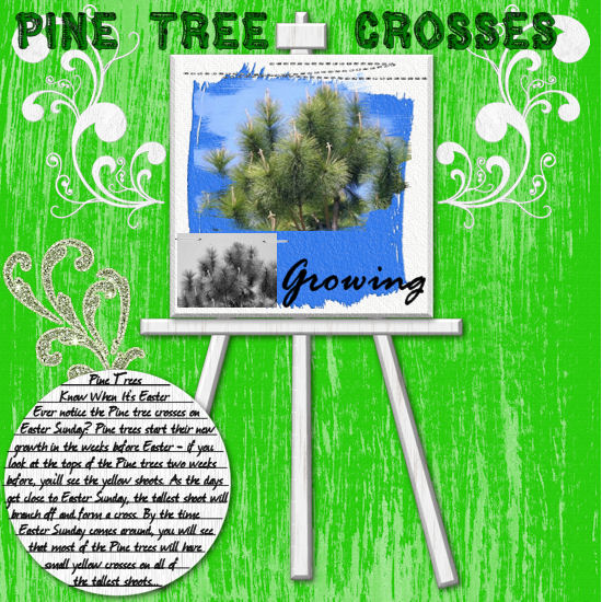 Pine Tree Crosses