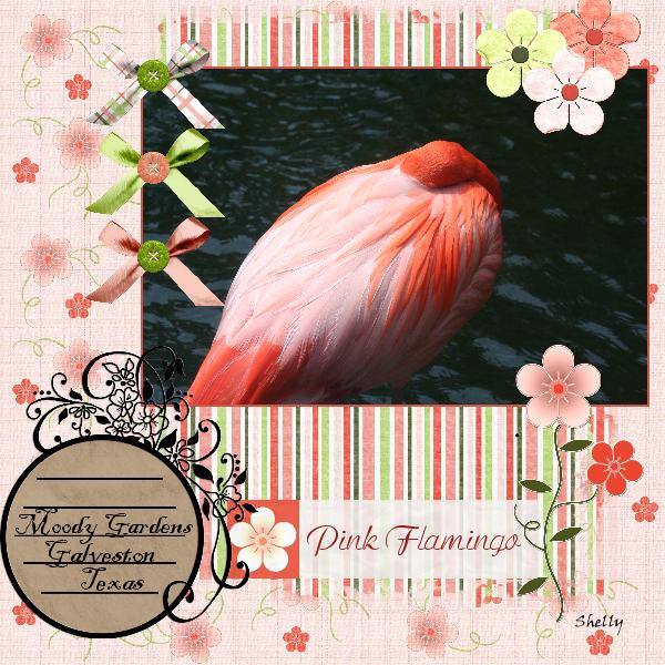 Pink Flamingo
