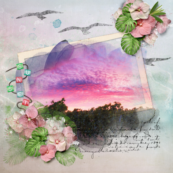 Pink Sunset.jpg
