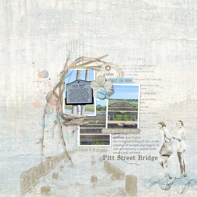 PittStreetBridge.jpg