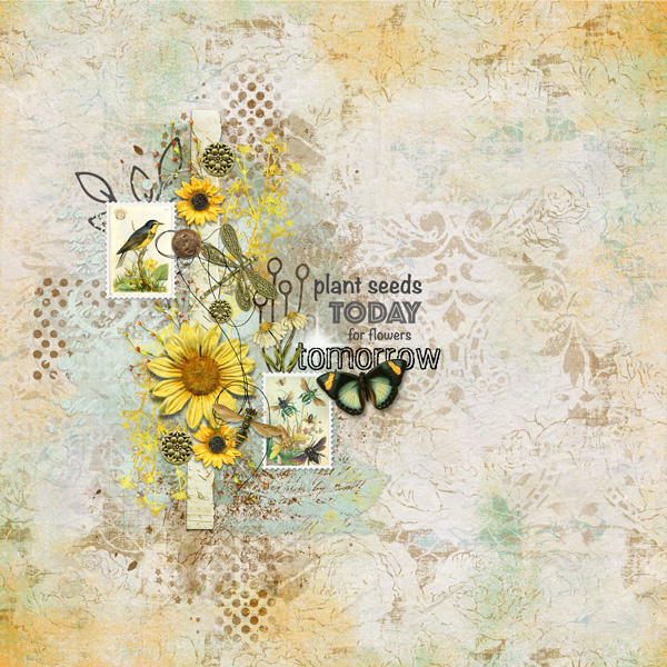 Plant Today - Vicki Robinson Challenge 4-22