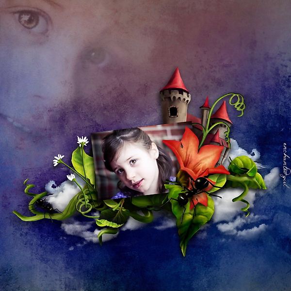 Plant your Beanstalk / RAK Babsy