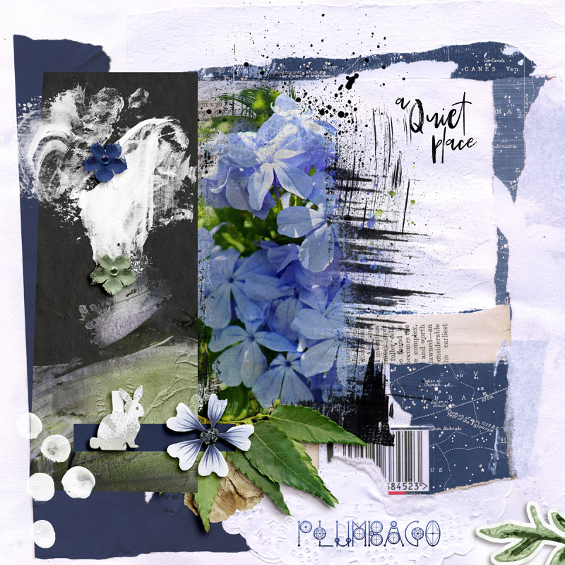 Plumbago