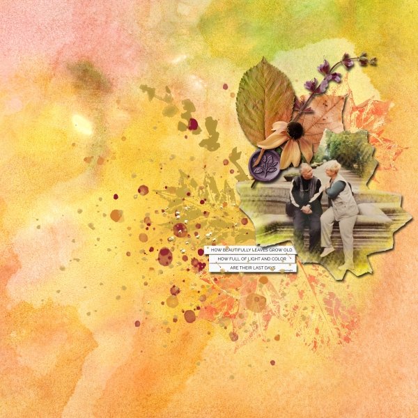 Poetry of Old Leaves.jpg