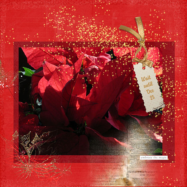 Poinsettia Sparkle