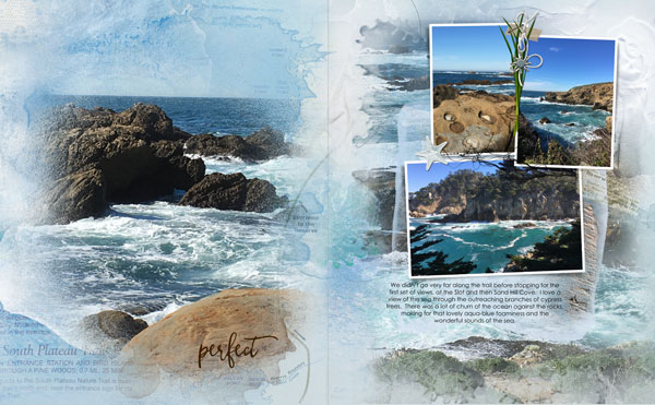 Point Lobos P2