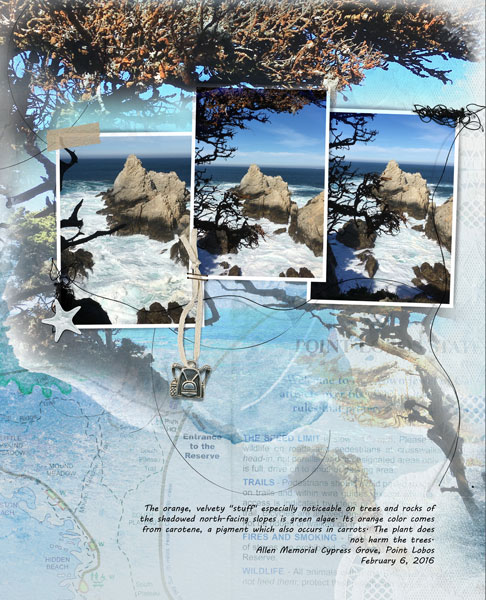 Point Lobos P3