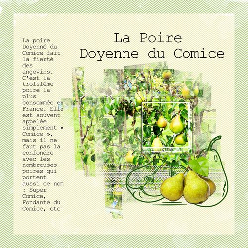 Poires Doyenne du Comice