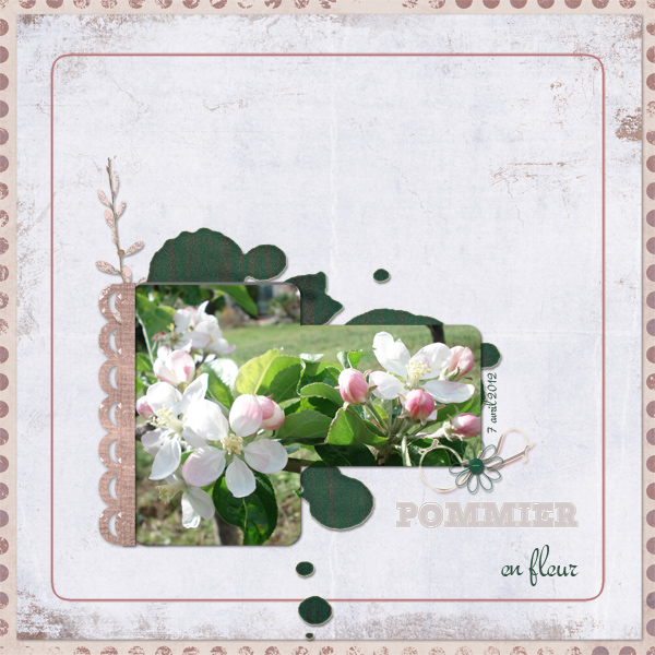 Pommier en Fleur