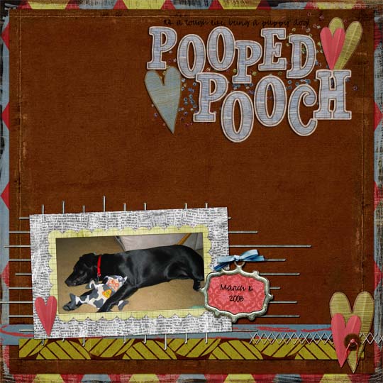 Pooped Pooch