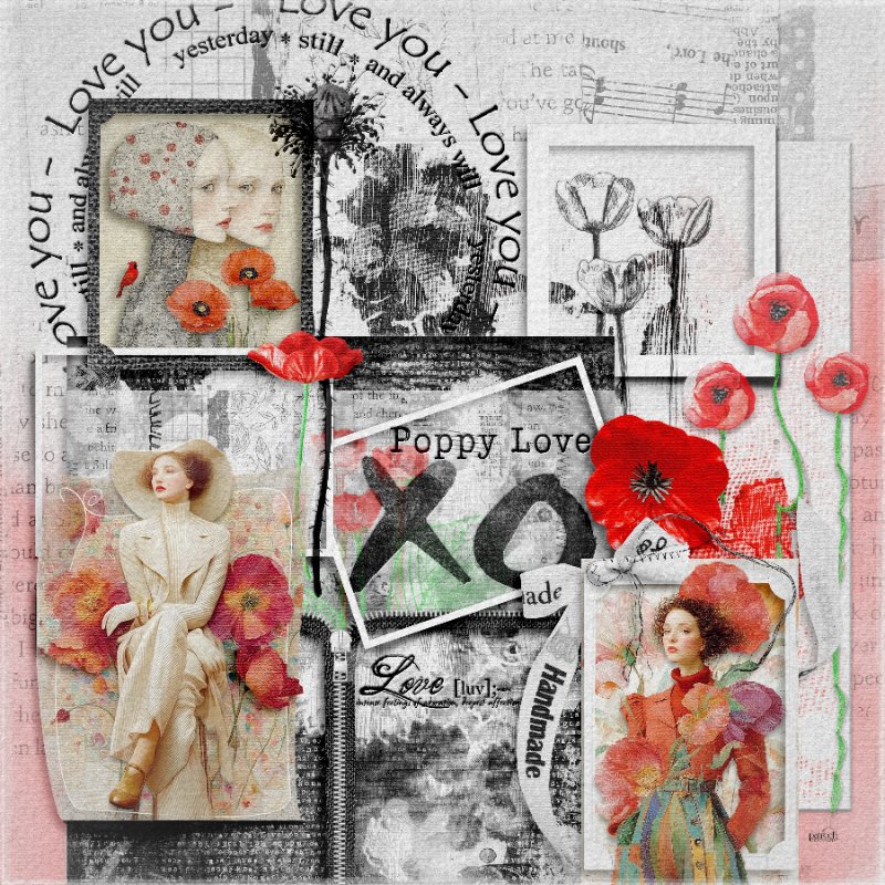 Poppy Love.jpg