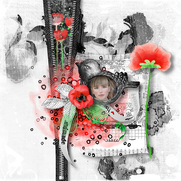 Poppy Love