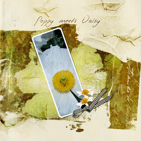 Poppy meets Daisy
