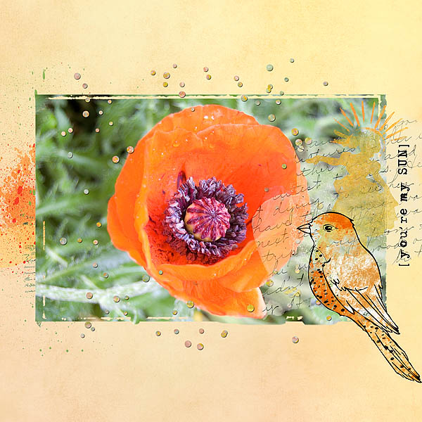 Poppy