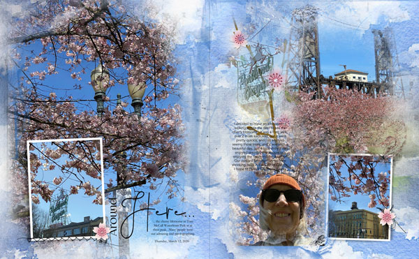 Portland Cherry BLossoms