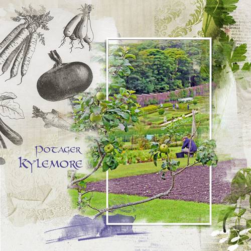 Potager  KYLMORE IRLANDE