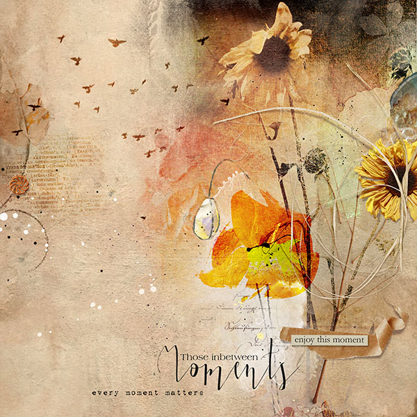 Prairie Flower