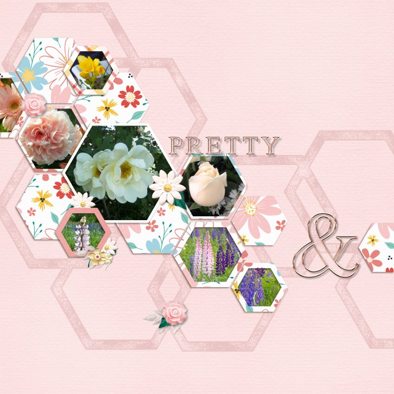 pretty flowers.jpg