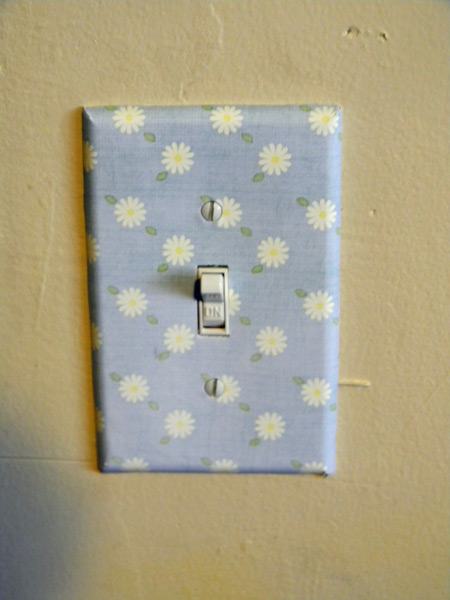 pretty light switch plate