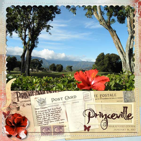 Princeville Copycat