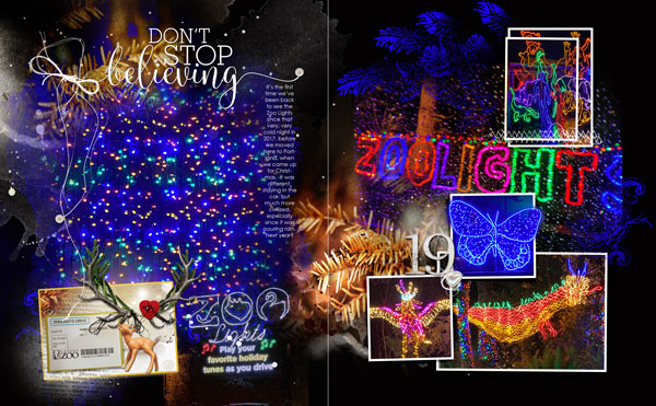 Project 2020 Day/Dec 19 Zoo Lights
