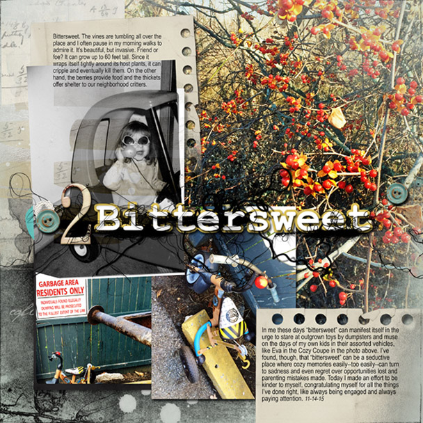 Project Book 2--Bittersweet