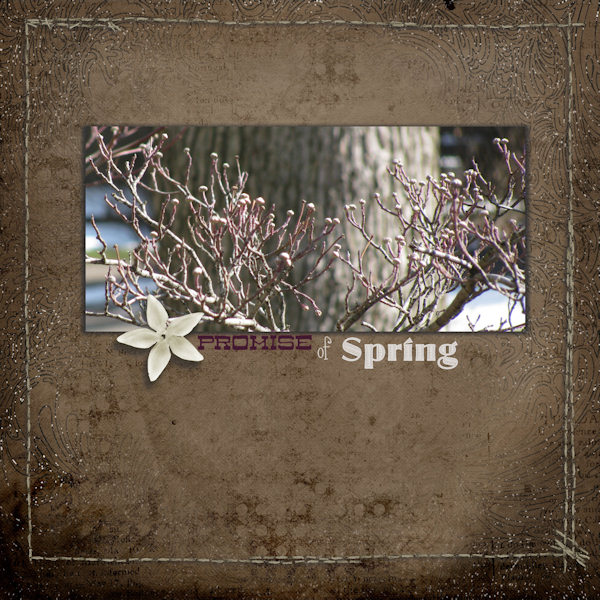 Promise of Spring (5 Things Challenge)