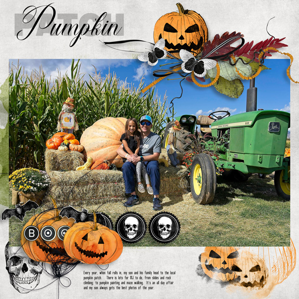 Pumpkin-patch.jpg