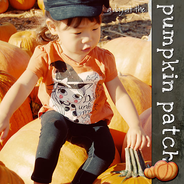 pumpkin patch