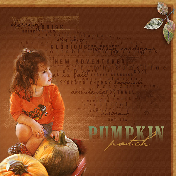 Pumpkin Patch