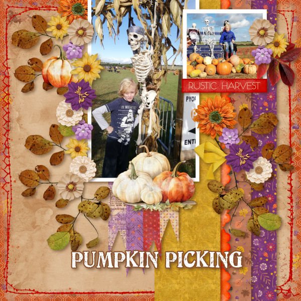 Pumpkin Picking