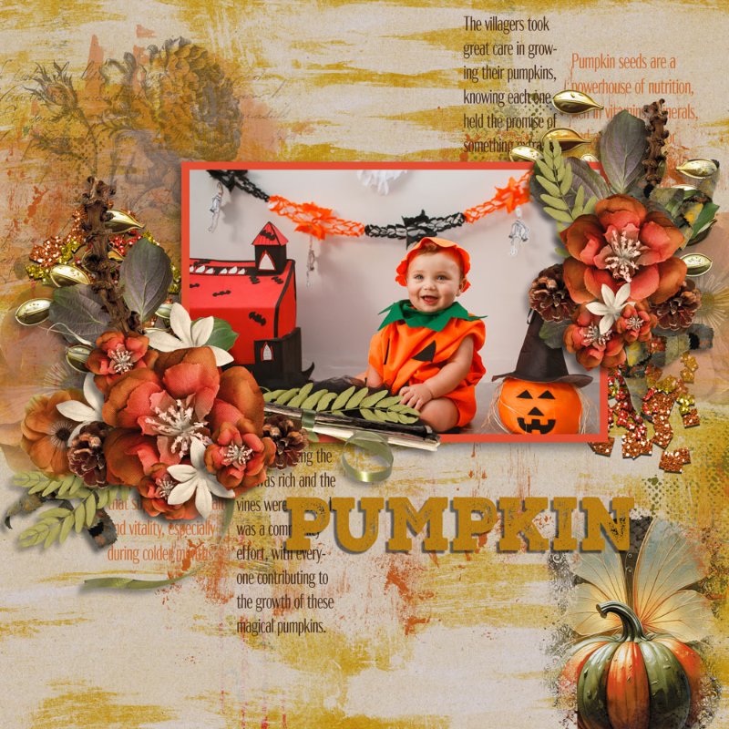 Pumpkin Season