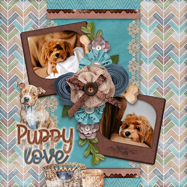 Puppy Love