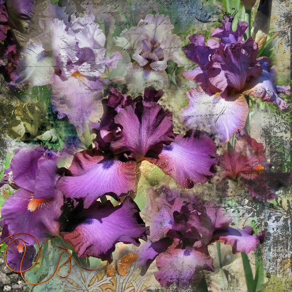 Purple Fantasy