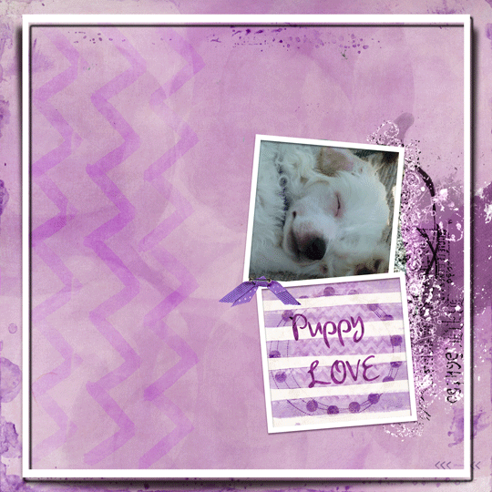 Purple puppy love