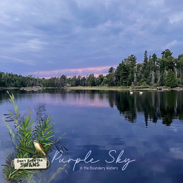 Purple Sky Day10.jpg