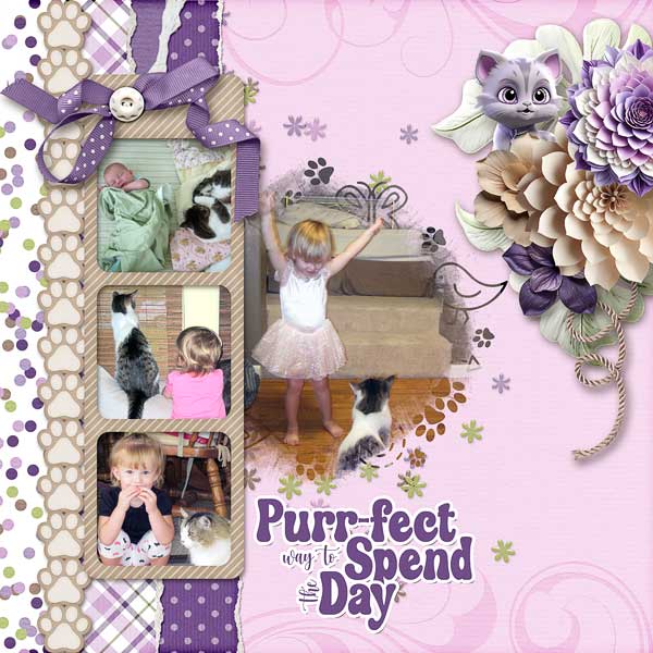 Purr-fect Way To Spend The Day