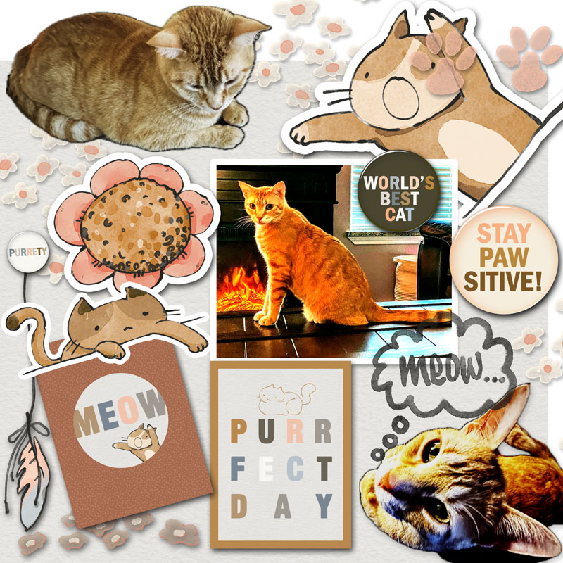 Purrfect