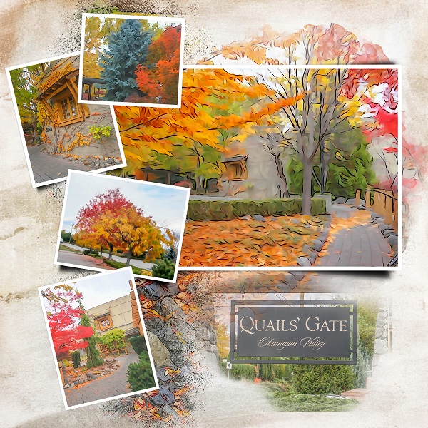 Quails Gate in the Fall