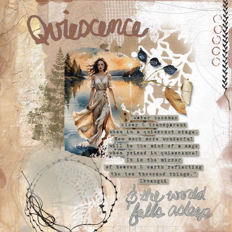 Quiescence---MME--Kay1