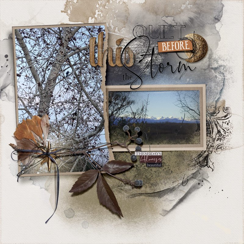 Quiet Before the Storm