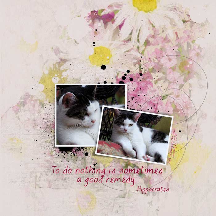 Quote Challenge:  To Do Nothing